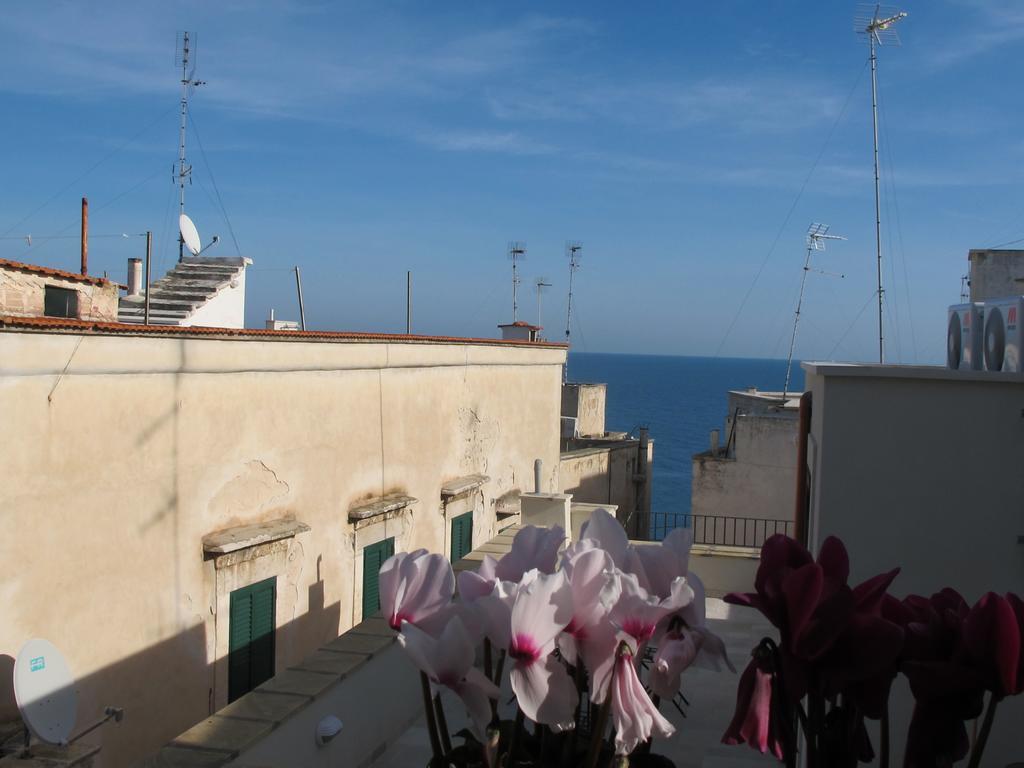 Casa Torre Di Mactheus Petraro Διαμέρισμα Giovinazzo Εξωτερικό φωτογραφία